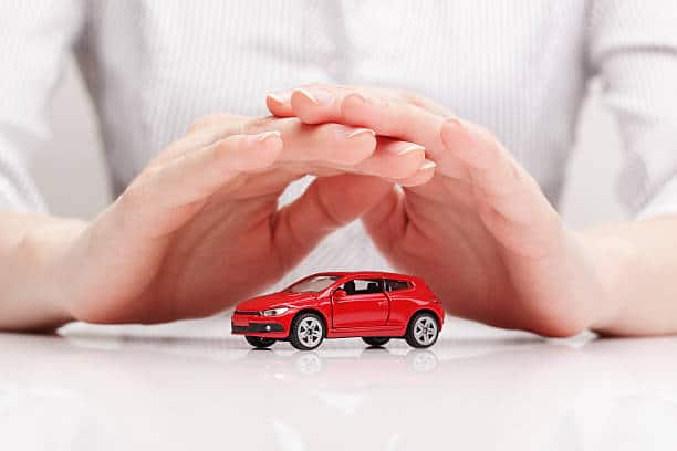 a red toy car being covered by 2 palmns